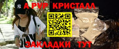 индика Лесосибирск
