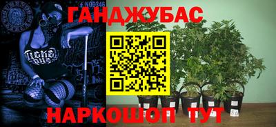 индика Лесосибирск